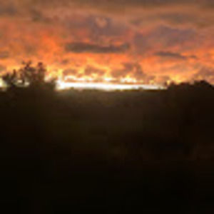 Meet your Posher, Dan